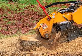 Best Aeration Services  in Chipley, FL